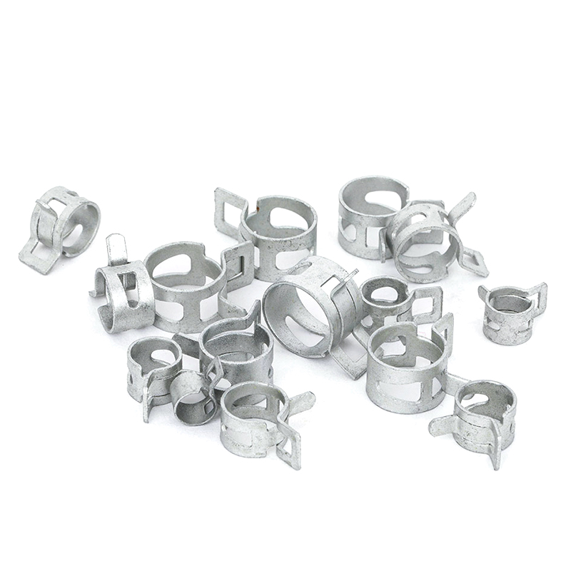 Pinces de tuyaux de bande de printemps en acier MN