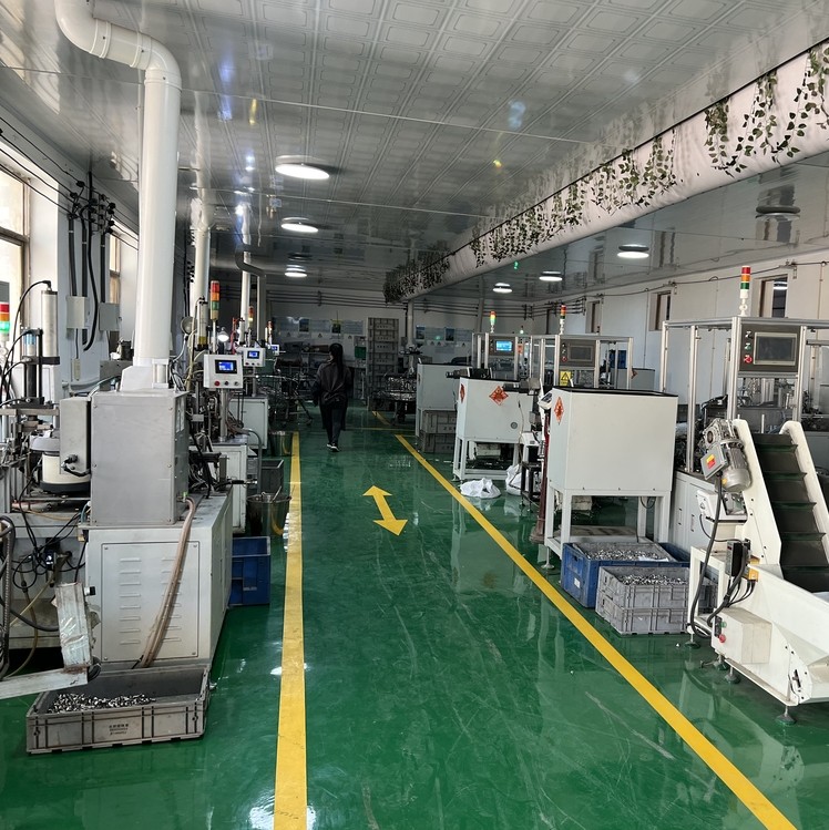 Boîte d'assortiment de colliers de serrage personnalisés pour l'approvisionnement en gros et OEM