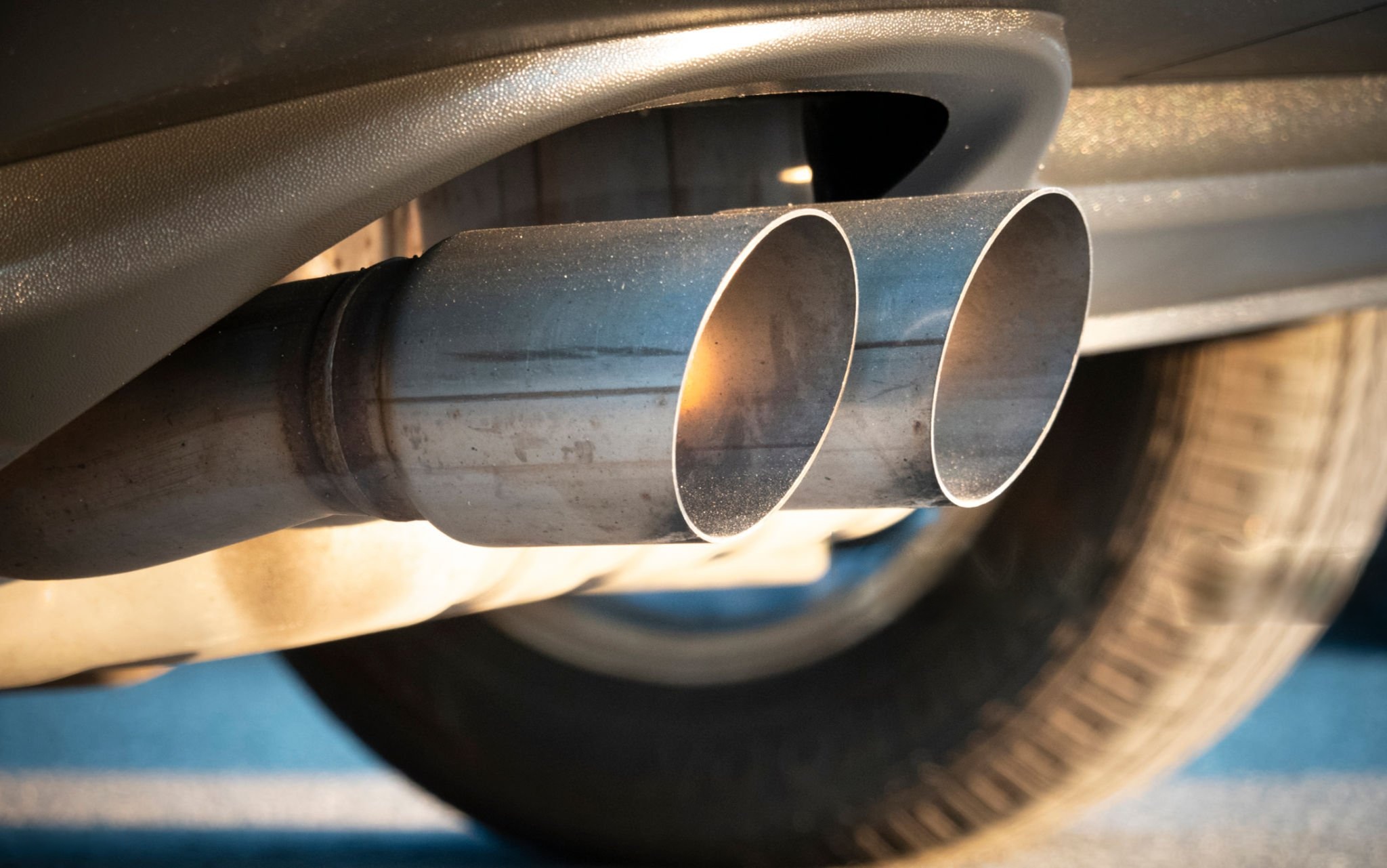 wmremove-transformed (12).jpeg