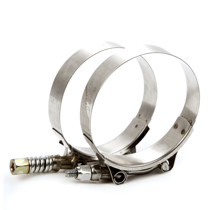 Pince à ressort à boulon en T robuste avec grand ressort