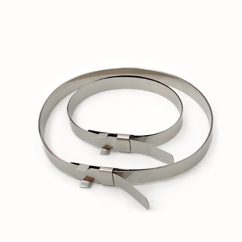 Vue d&eacute;taill&eacute;e de la pince conjointe CV